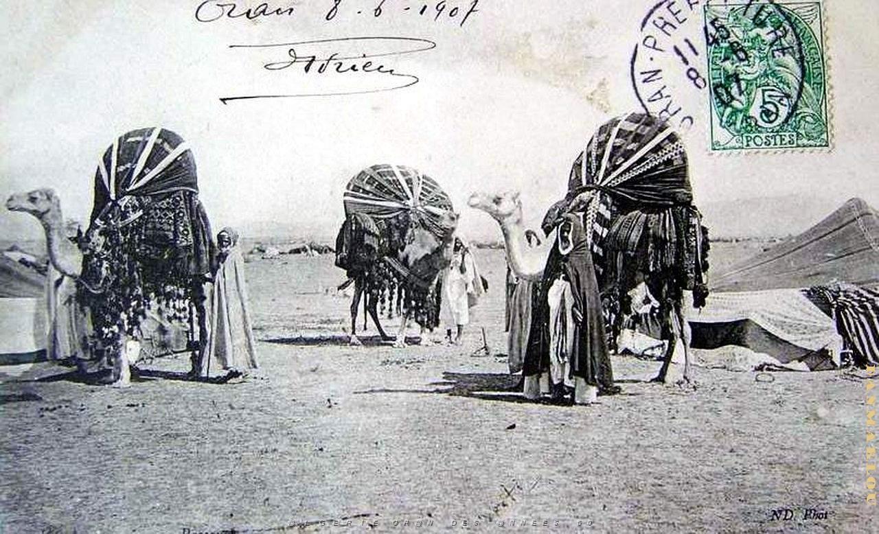 Sud oranais 032.JPG
